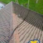 Business 13 image START 2 FINISH LANDSCAPES & CLEANING Cleaning & Maintenance Service in Wexford WX