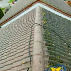 Business 29 image START 2 FINISH LANDSCAPES & CLEANING Cleaning & Maintenance Service in Wexford WX