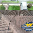 Business 30 image START 2 FINISH LANDSCAPES & CLEANING Cleaning & Maintenance Service in Wexford WX