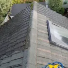 Business 48 image START 2 FINISH LANDSCAPES & CLEANING Cleaning & Maintenance Service in Wexford WX