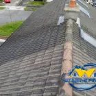 Business 53 image START 2 FINISH LANDSCAPES & CLEANING Cleaning & Maintenance Service in Wexford WX