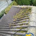 Business 56 image START 2 FINISH LANDSCAPES & CLEANING Cleaning & Maintenance Service in Wexford WX