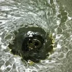 Business 2 image SWIFT PIPE AND DRAIN SERVICES Septic Tank Cleaning & Maintenance in Dublin IE


