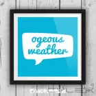 Business 1 image WORDBIRD.IE Shopping in Cavan IE


