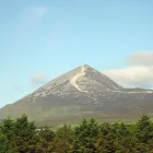 Business 2 image YOUR DAYS OUT Travel & Tourism in Dublin IE


