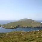 Business 5 image YOUR DAYS OUT Travel & Tourism in Dublin IE


