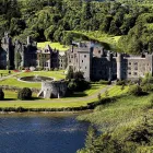 Business 1 image YOURDAYSOUT.IE - THINGS TO DO Travel & Tourism in Dublin IE


