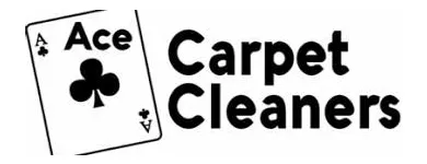 Business 1 image ACE CARPET CLEANERS Industries & Agriculture in Dublin IE


