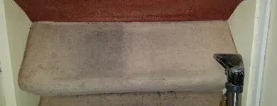 Business 22 image ACE CARPET CLEANERS Industries & Agriculture in Dublin IE


