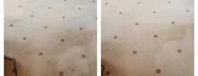 Business 12 image ACE CARPET CLEANING DUBLIN Cleaning & Maintenance Service in Dublin D