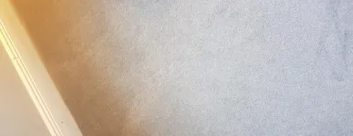Business 13 image ACE CARPET CLEANING DUBLIN Cleaning & Maintenance Service in Dublin D