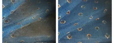 Business 23 image ACE CARPET CLEANING DUBLIN Cleaning & Maintenance Service in Dublin D