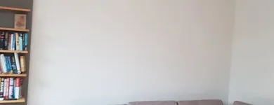Business 21 image ANTHONY ANDREWS PAINTING AND DECORATING Shopping in Wicklow WW