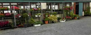 Business 2 image ARTHUR'S NURSERIES Tree Work & Forestry Services in Louth IE


