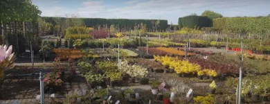 Business 3 image ARTHUR'S NURSERIES Tree Work & Forestry Services in Louth IE


