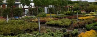 Business 4 image ARTHUR'S NURSERIES Tree Work & Forestry Services in Louth IE


