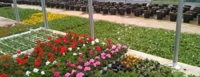 Business 4 image BEECHDALE GARDEN CENTRE Tool Design & Manufacture in Wexford WX