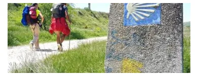 Business 4 image CAMINO BY THE WAY Travel Agents in Clonakilty CO