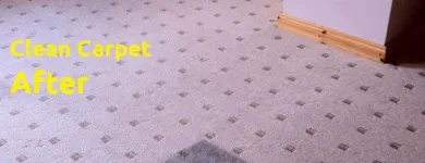Business 13 image CLEANING DOCTOR CARPET & UPHOLSTERY SERVICES KILDARE Carpet, Curtain & Upholstery Cleaners in Naas KE