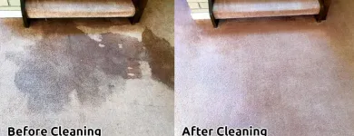Business 1 image CLEANING DOCTOR CARPET & UPHOLSTERY SERVICES MAYO Carpet, Curtain & Upholstery Cleaners in Mayo D