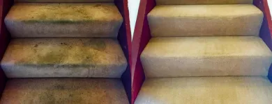 Business 2 image CLEANING DOCTOR CARPET & UPHOLSTERY SERVICES MAYO Carpet, Curtain & Upholstery Cleaners in Mayo D