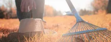 Business 16 image DALY'S EXPERT HARDWARE Shopping in Kerry KY