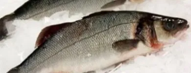 Business 7 image DALY'S SEAFOOD LTD Food & Beverage in Nenagh TA