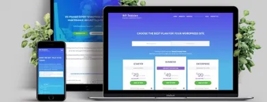 Business 2 image DESIGNWORX Web Developers in Limerick IE


