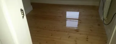 Business 3 image DUBLIN FLOOR SANDING DUBLIN 12, DUBLIN Real Estate & Home Improvement in Dublin IE


