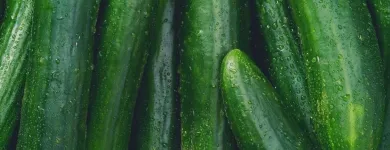 Business 5 image FRESH FOOD CO EU Fruit & Vegetable Merchants & Markets in Dublin D