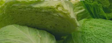 Business 10 image FRESH FOOD CO EU Fruit & Vegetable Merchants & Markets in Dublin D