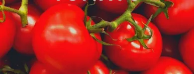 Business 11 image FRESH FOOD CO EU Fruit & Vegetable Merchants & Markets in Dublin D