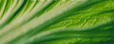Business 13 image FRESH FOOD CO EU Fruit & Vegetable Merchants & Markets in Dublin D