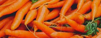 Business 16 image FRESH FOOD CO EU Fruit & Vegetable Merchants & Markets in Dublin D