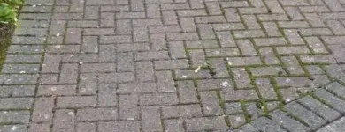 Business 2 image GB TURBO POWER WASH Sandblasting & Power Washing Contractors in Dublin IE


