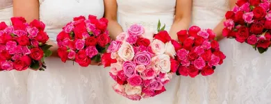 Business 1 image HOLST PHOTOGRAPHY Wedding Photography & Videography in Dublin IE


