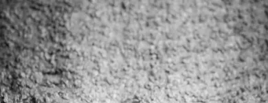 Business 7 image HOLST PHOTOGRAPHY Wedding Photography & Videography in Dublin IE


