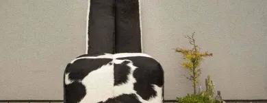 Business 5 image IRISH HIDE DESIGNS Shopping in Limerick IE


