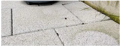 Business 18 image LEAF2LEAF LANDSCAPES Landscape Gardeners & Contractors in Dublin D