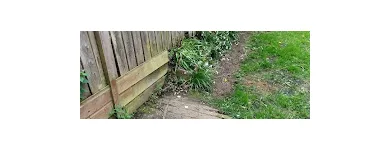 Business 19 image LEAF2LEAF LANDSCAPES Landscape Gardeners & Contractors in Dublin D