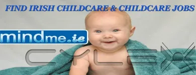 Business 1 image MINDME.IE Tutoring & Private Tuition in Dublin D