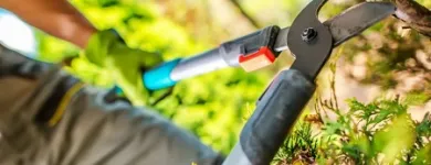 Business 3 image MS TREE SURGEONS & GARDENING SERVICES Tree Service/surgeons in Athlone WH