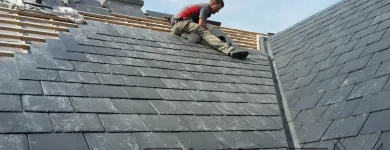 Business 9 image NIALL MC DONAGH ROOFING SERVICES Tree Work & Forestry Services in Galway G