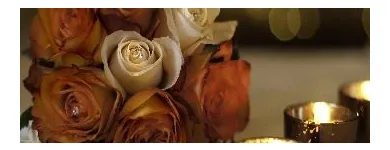 Business 3 image PHOTOGRAPHY BY JAN Photographers in Dublin IE


