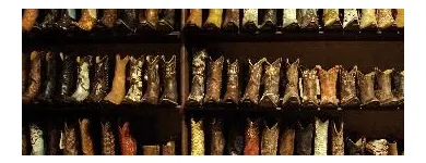 Business 8 image PHOTOGRAPHY BY JAN Photographers in Dublin IE


