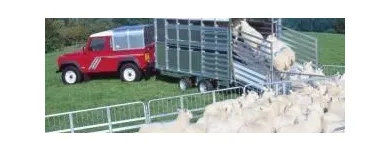 Business 1 image SMS TRAILERS Trailers & Towing Equipment in Kilkenny KK