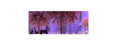 Business 4 image STUDIO1 DESIGNHAUS Party & Event Planners & Organisers in Dublin IE


