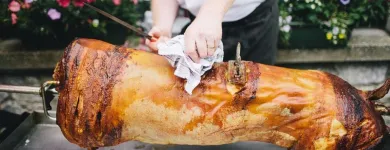 Business 6 image THE WHOLE HOG.IE Food & Beverage in Limerick IE


