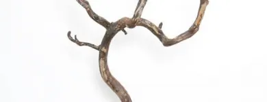 Business 4 image TRU IRISH Shopping in Monaghan MN