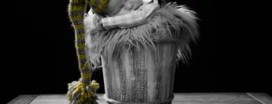 Business 19 image TRUE SHOT PHOTOGRAPHY LIMITED Wedding Photography & Videography in Dublin IE


